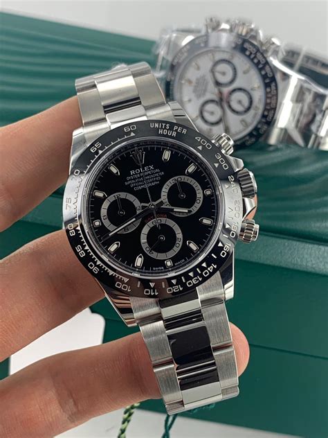 rolex signature watch